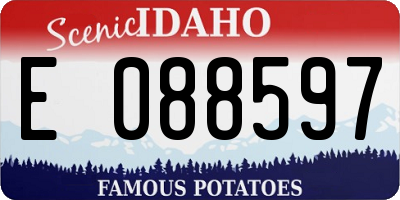 ID license plate E088597