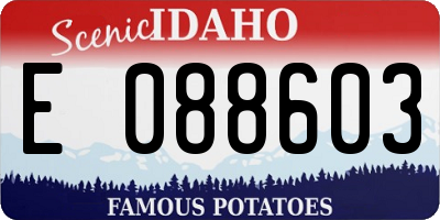 ID license plate E088603