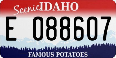 ID license plate E088607