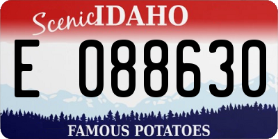 ID license plate E088630