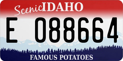 ID license plate E088664