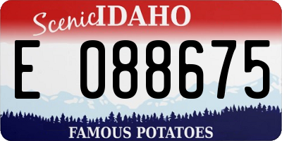 ID license plate E088675