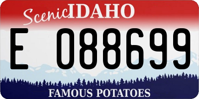 ID license plate E088699