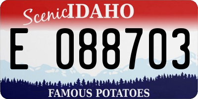ID license plate E088703
