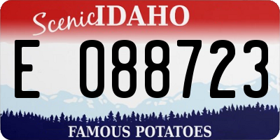 ID license plate E088723