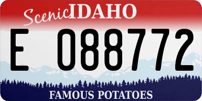 ID license plate E088772