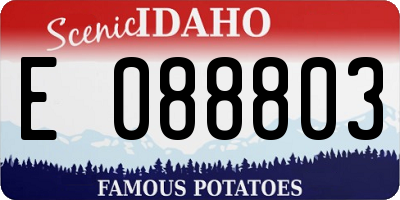ID license plate E088803