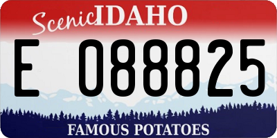 ID license plate E088825