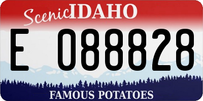 ID license plate E088828