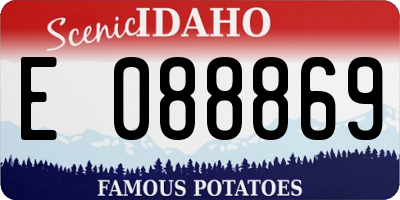 ID license plate E088869