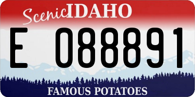 ID license plate E088891
