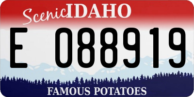 ID license plate E088919