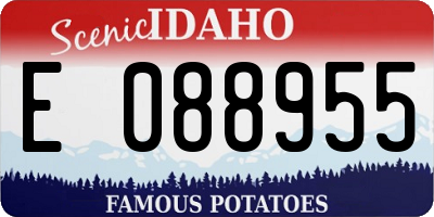 ID license plate E088955
