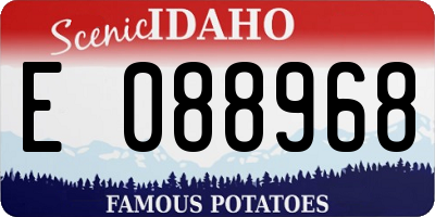 ID license plate E088968