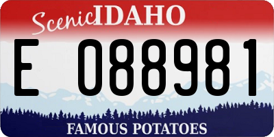 ID license plate E088981