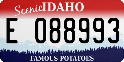 ID license plate E088993