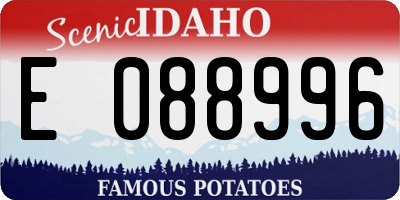 ID license plate E088996