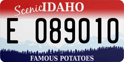 ID license plate E089010