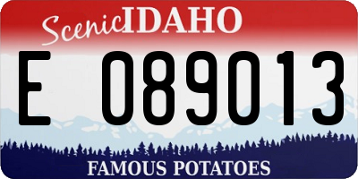 ID license plate E089013