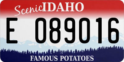 ID license plate E089016