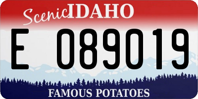 ID license plate E089019