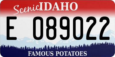 ID license plate E089022