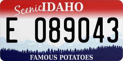 ID license plate E089043