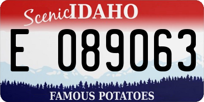 ID license plate E089063