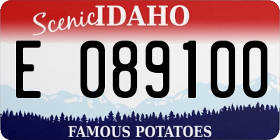 ID license plate E089100