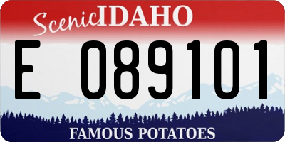 ID license plate E089101