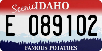 ID license plate E089102