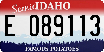 ID license plate E089113