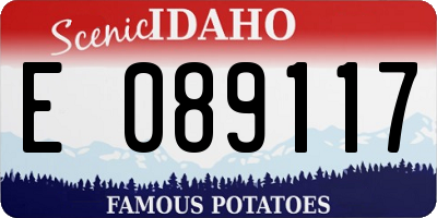 ID license plate E089117