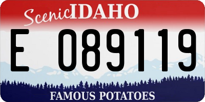 ID license plate E089119