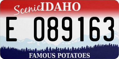 ID license plate E089163