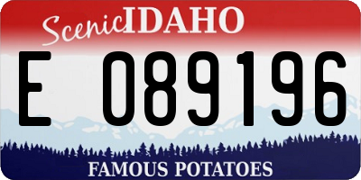 ID license plate E089196