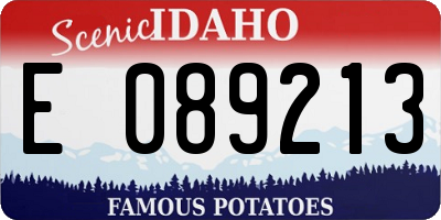 ID license plate E089213