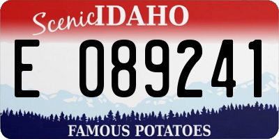 ID license plate E089241