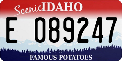 ID license plate E089247