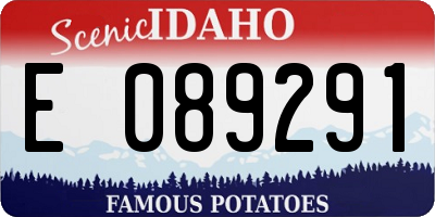 ID license plate E089291