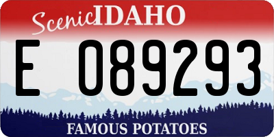 ID license plate E089293