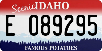 ID license plate E089295
