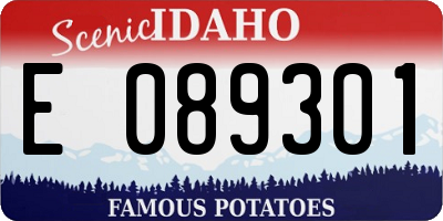 ID license plate E089301