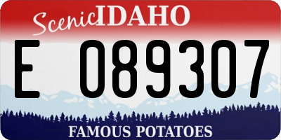 ID license plate E089307