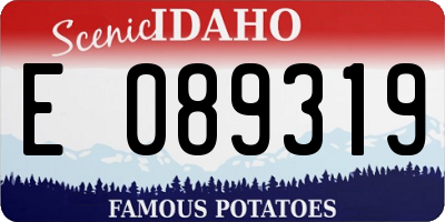 ID license plate E089319