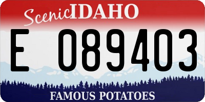 ID license plate E089403
