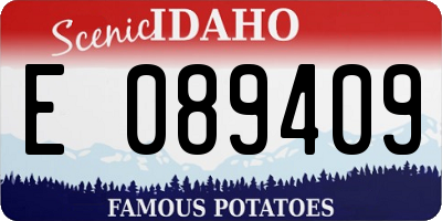 ID license plate E089409