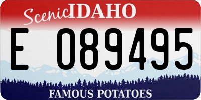 ID license plate E089495