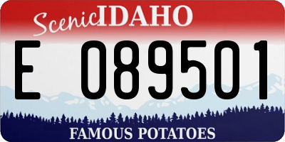 ID license plate E089501