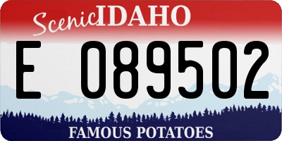 ID license plate E089502